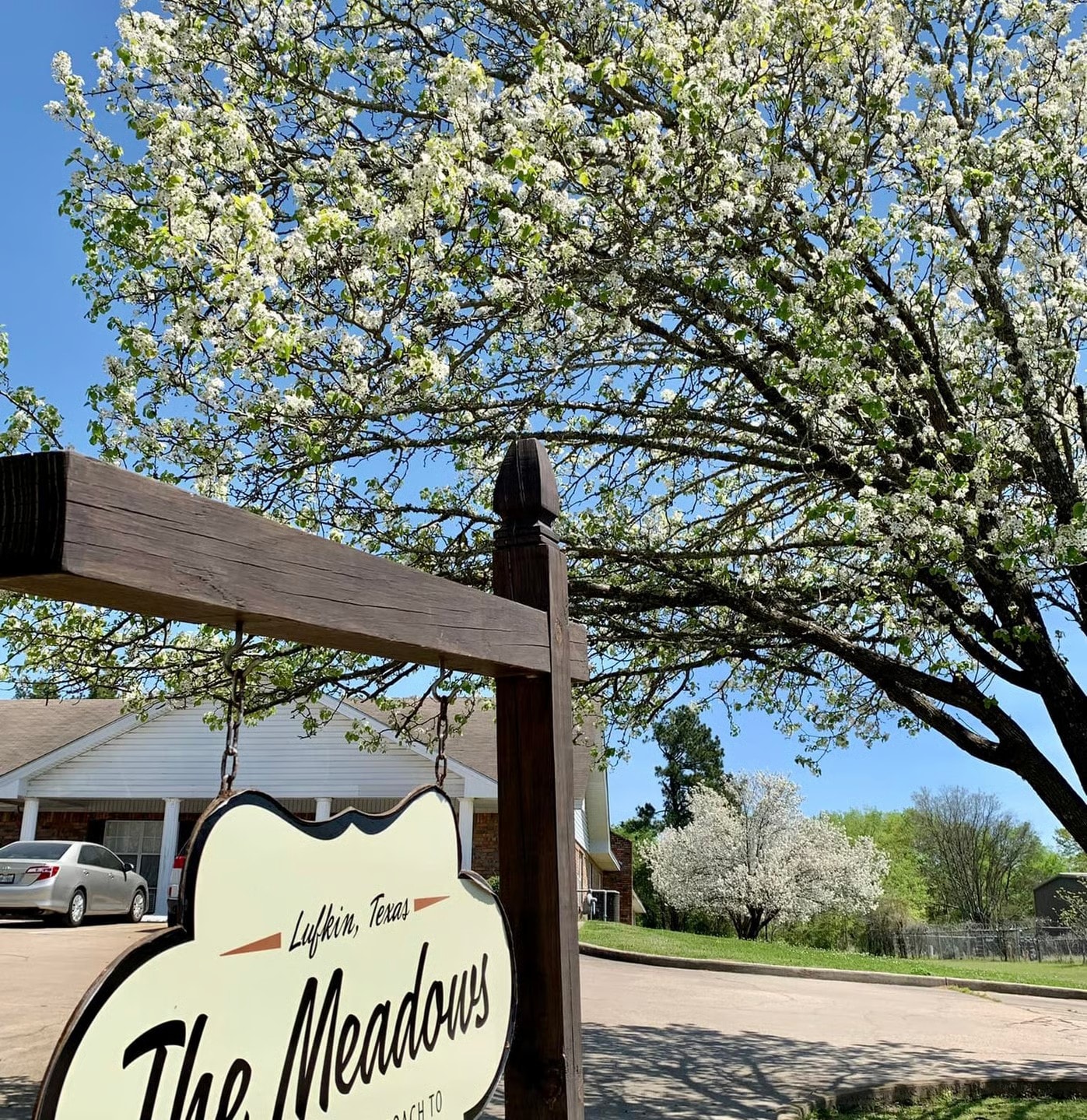 The Meadows entrance sign with flowering trees